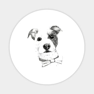 Jack Russell - Bo with a Bow tie Magnet